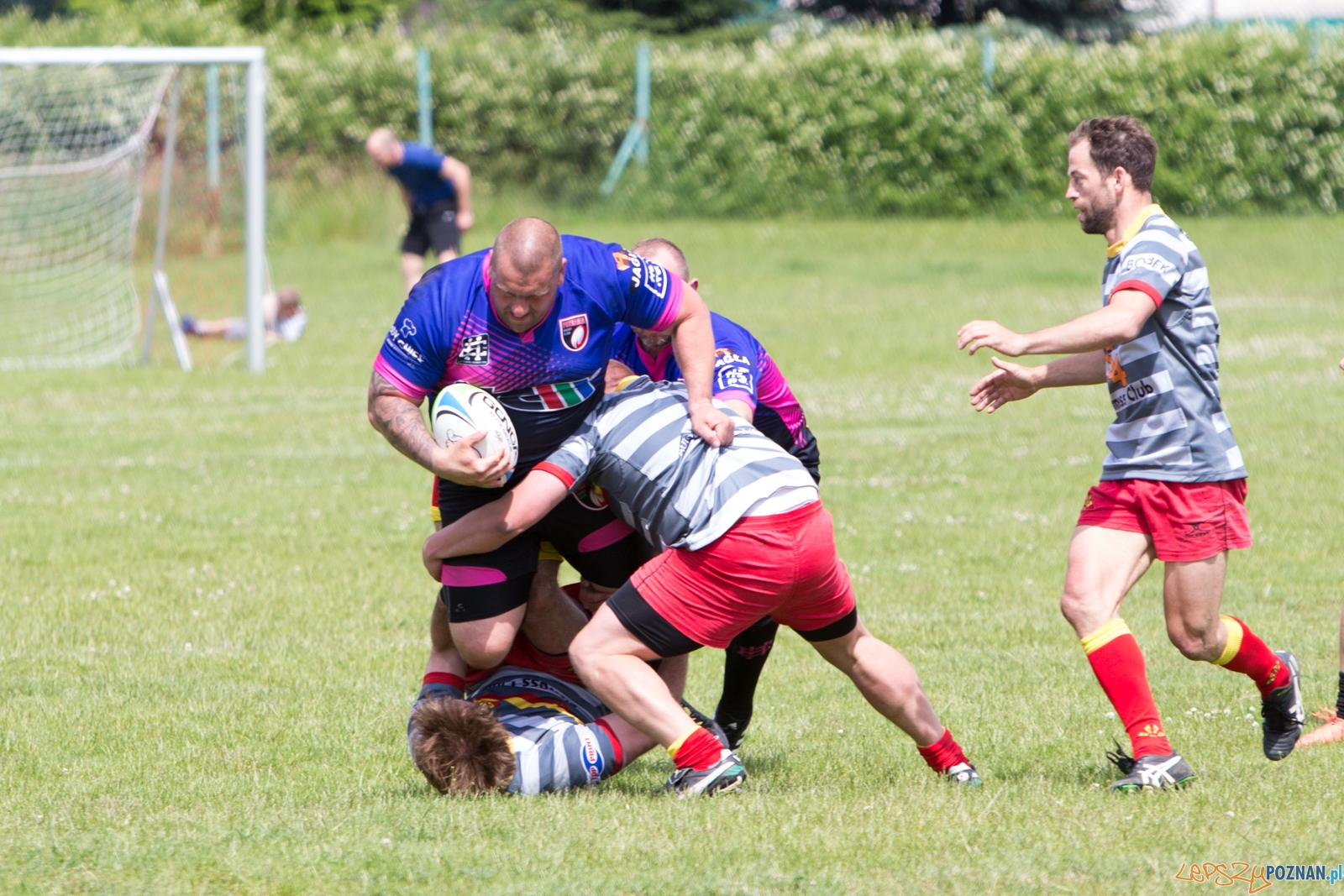 Posnania Poznań - Skra Warszawa Foto: lepszyPOZNAN.pl/Piotr Rychter Posnania Poznań - Skra Warszawa Foto: lepszyPOZNAN.pl/Piotr Rychter