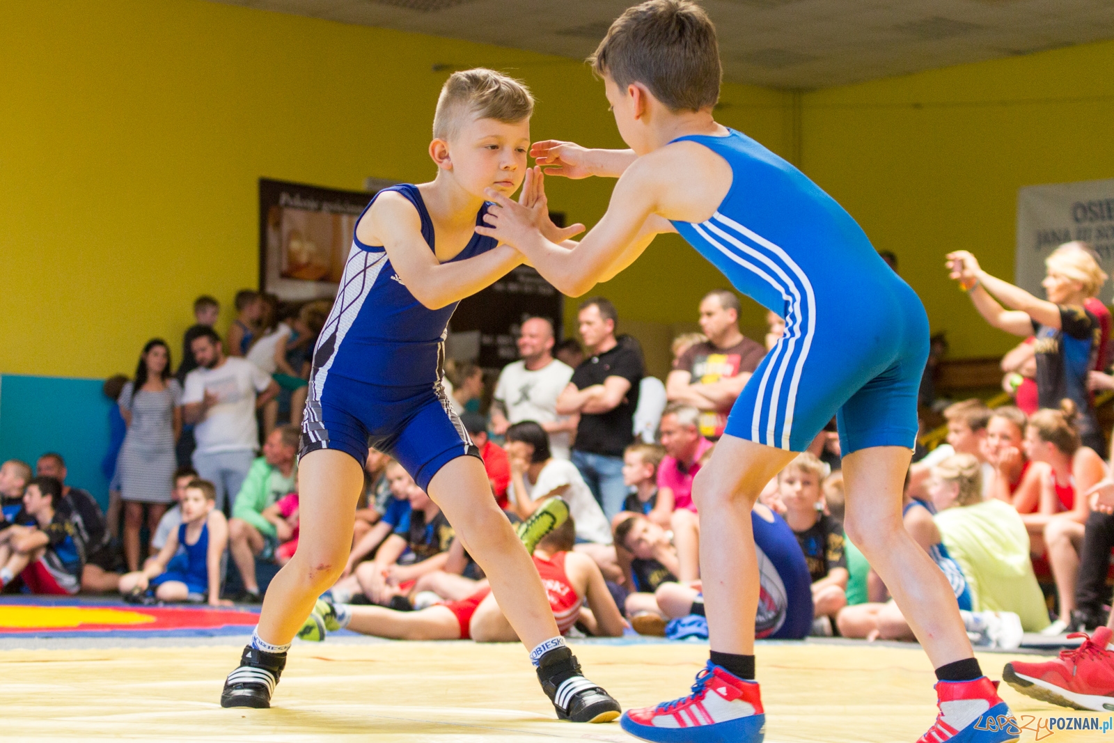 Zawody w Siłowaniu i Zapasach Memoriał Henryka Półtoraka Foto: lepszyPOZNAN.pl / Ewelina Jaśkowiak Zawody w Siłowaniu i Zapasach Memoriał Henryka Półtoraka Foto: lepszyPOZNAN.pl / Ewelina Jaśkowiak