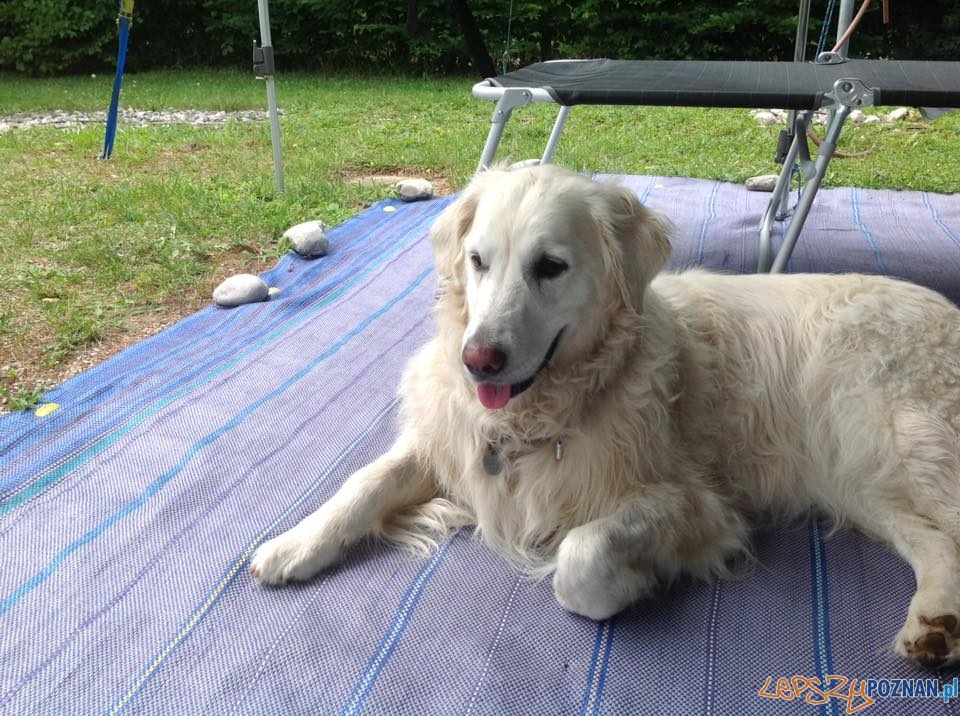 Margareta Friesenegger - Lusia Foto: Margareta Friesenegger - Lusia Foto: