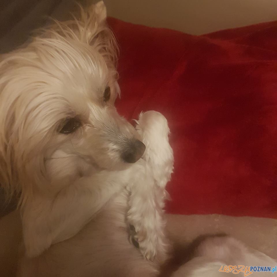 Monika Majchrzak Foto: Monika Majchrzak Foto: