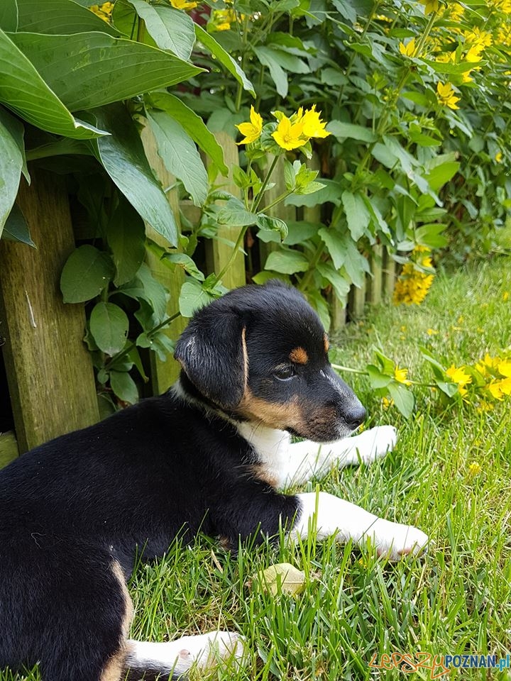 Michał Król Foto: Michał Król Foto: