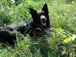 Malgorzata Hehn Artus Foto: Malgorzata Hehn Artus Foto: