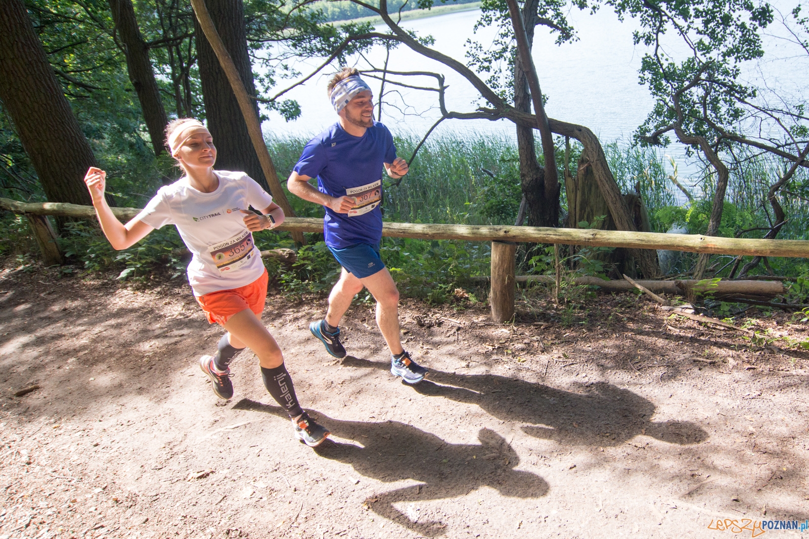 Pogoń za Wilkiem 2017 Foto: lepszyPOZNAN.pl/Piotr Rychter Pogoń za Wilkiem 2017 Foto: lepszyPOZNAN.pl/Piotr Rychter