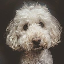 Paulina Pilch Kubasiewicz Tila Foto: Paulina Pilch Kubasiewicz Tila Foto: