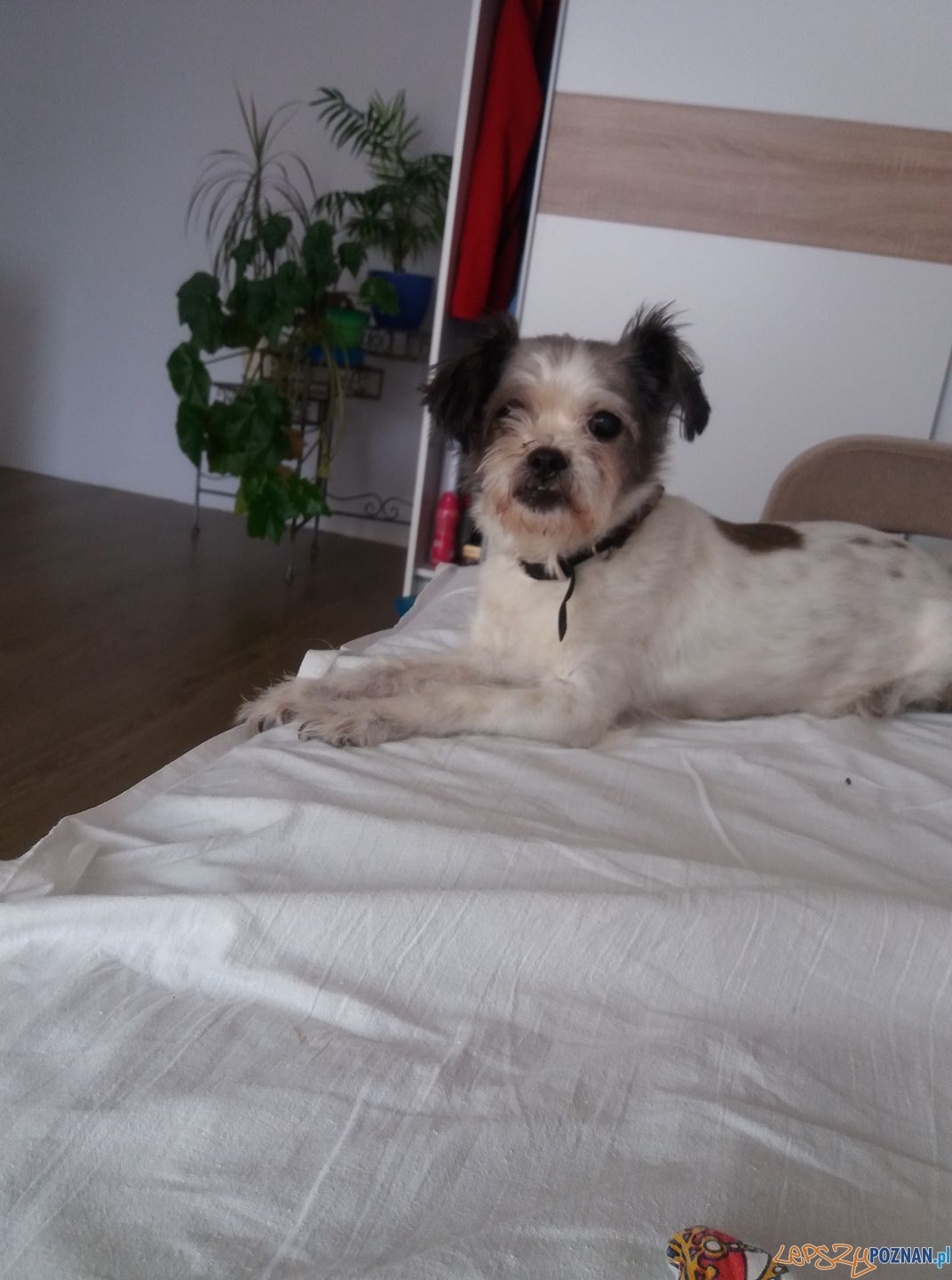 Renata Suterska - 16- letnia Sali. Foto: Renata Suterska - 16- letnia Sali. Foto: