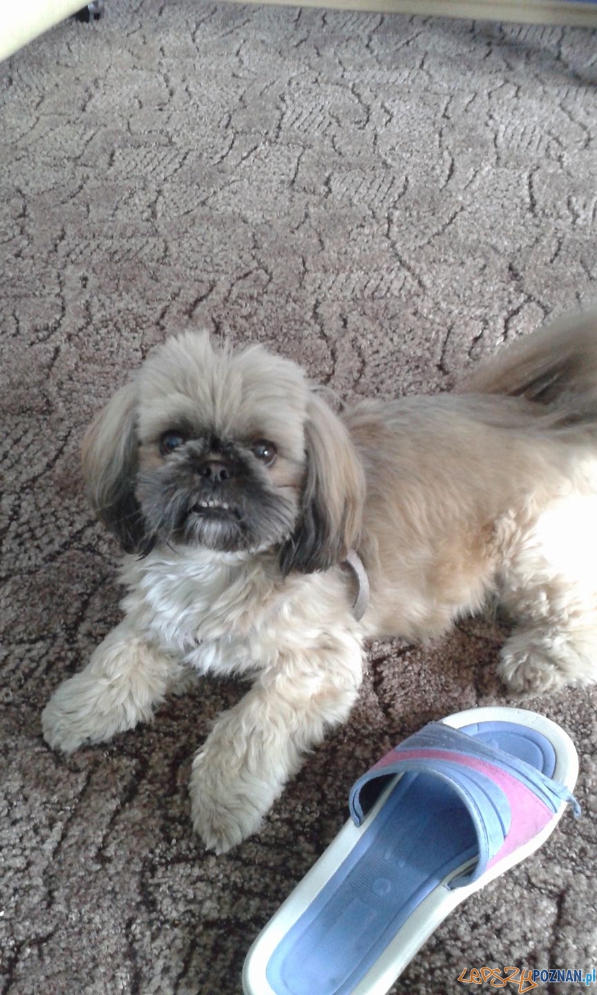 Marzena Kaczmarek - Tola Foto: Marzena Kaczmarek - Tola Foto: