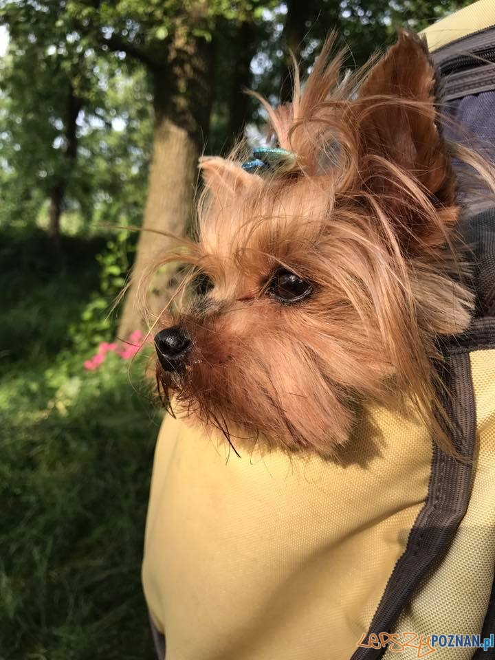 Adrianna Wróblewska Tola Foto: Adrianna Wróblewska Tola Foto: