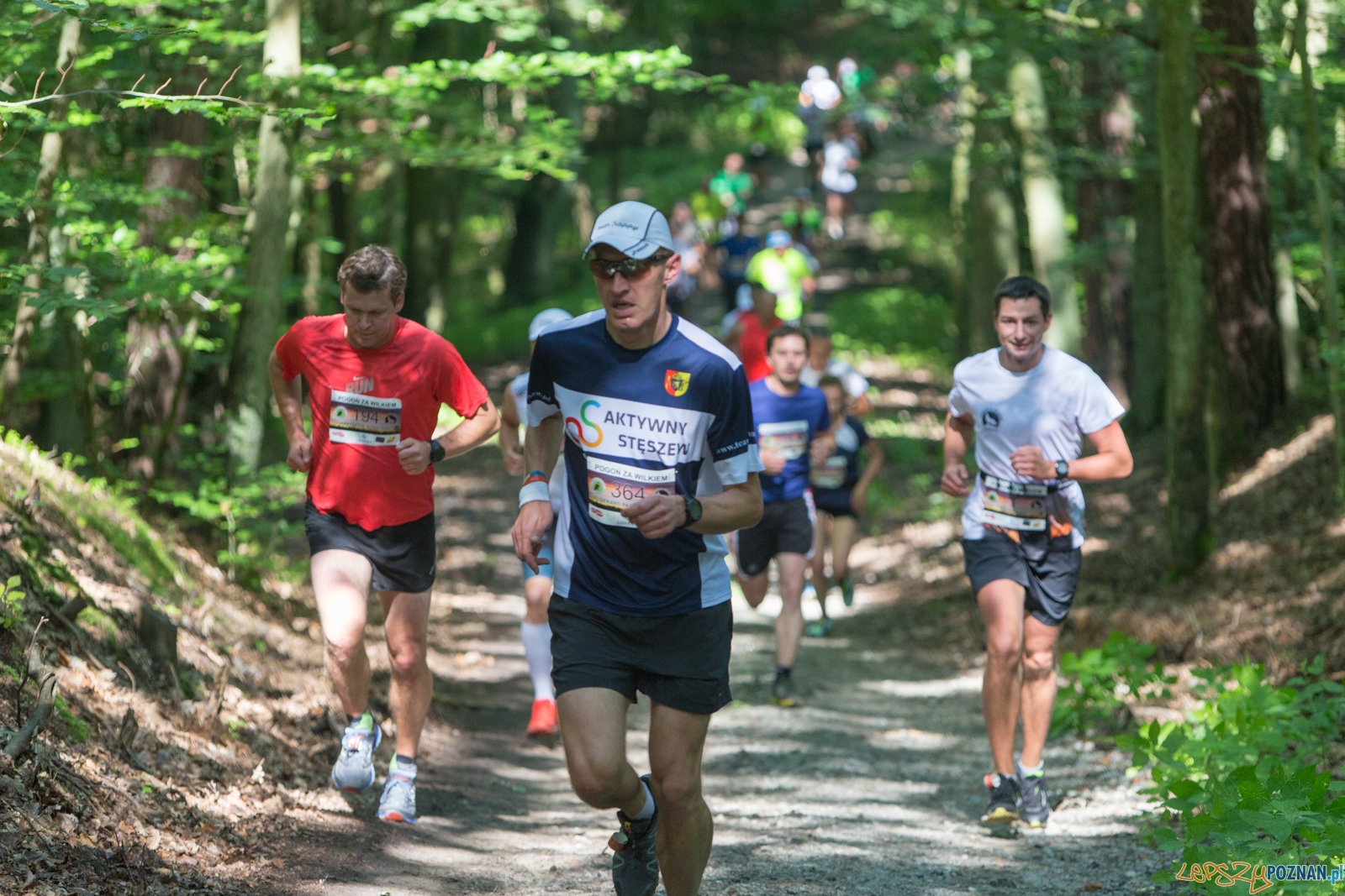 Pogoń za Wilkiem 2017 Foto: lepszyPOZNAN.pl/Piotr Rychter Pogoń za Wilkiem 2017 Foto: lepszyPOZNAN.pl/Piotr Rychter