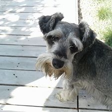 Tomek Rądlewski Foto: Tomek Rądlewski Foto: