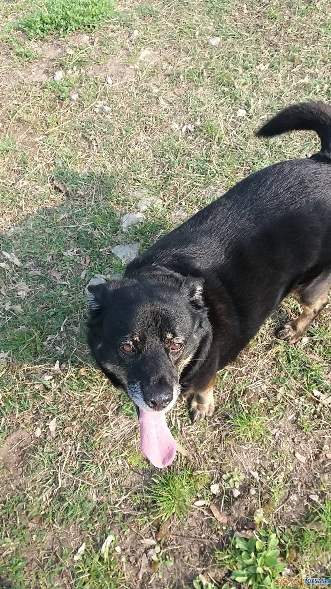 Krzysztof Frąckowiak - Madox Foto: Krzysztof Frąckowiak - Madox Foto: