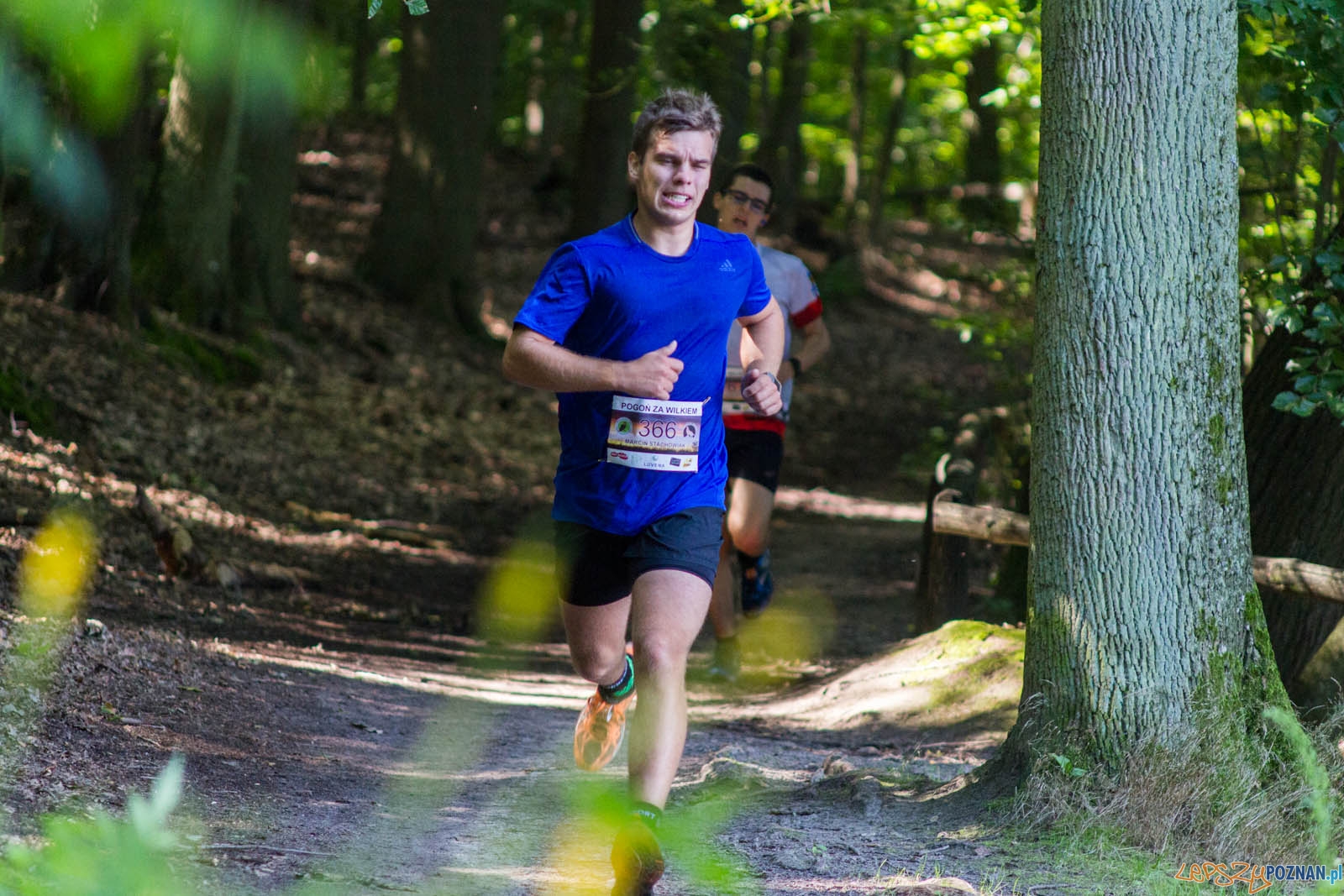 Pogoń za Wilkiem Foto: lepszyPOZNAN.pl / Ewelina Jaśkowiak Pogoń za Wilkiem Foto: lepszyPOZNAN.pl / Ewelina Jaśkowiak