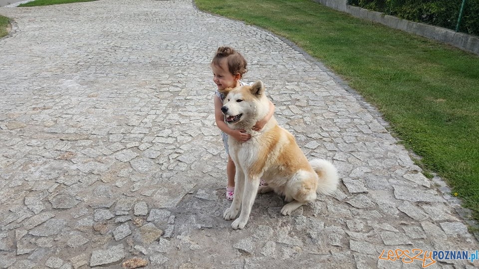 Monika Glabus Tori Foto: Monika Glabus Tori Foto: