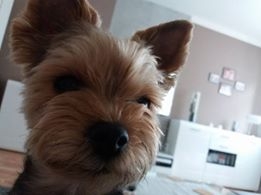 Karolina Leśniak Żyleta Foto: Karolina Leśniak Żyleta Foto: