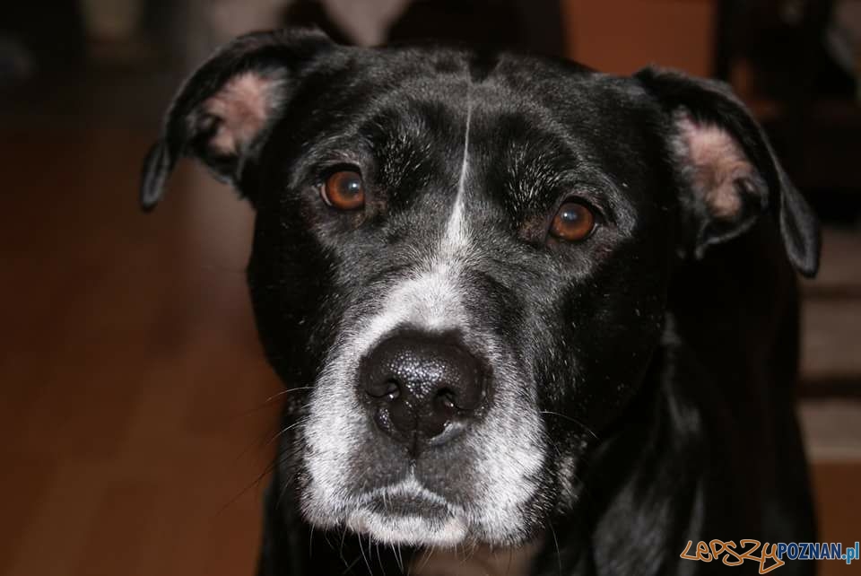 Ewa B Konieczna Foto: Ewa B Konieczna Foto: