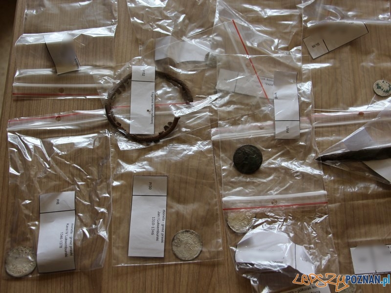 Monety znalezione podczas nielegalnych wykopalisk Foto: Policja Poznań Monety znalezione podczas nielegalnych wykopalisk Foto: Policja Poznań