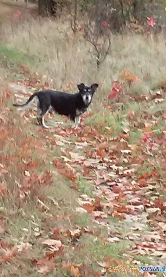 Beata Kita Czerniak Foto: Beata Kita Czerniak Foto: