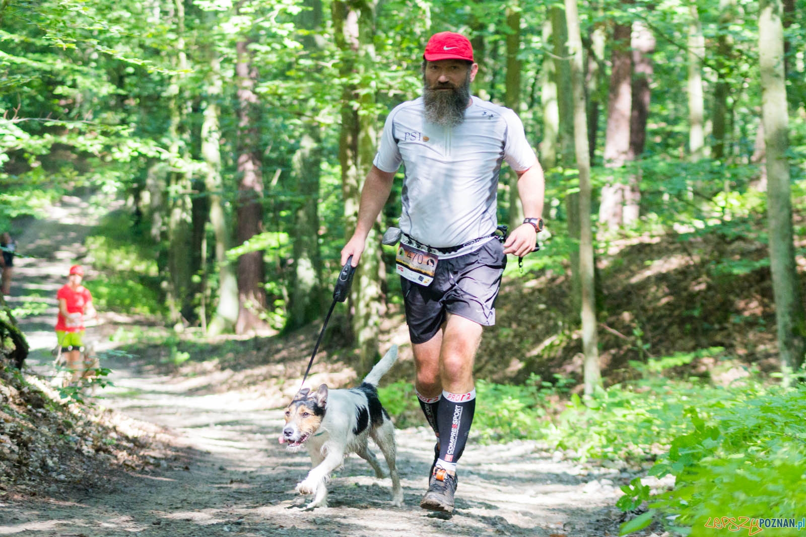Pogoń za Wilkiem Foto: lepszyPOZNAN.pl / Ewelina Jaśkowiak Pogoń za Wilkiem Foto: lepszyPOZNAN.pl / Ewelina Jaśkowiak