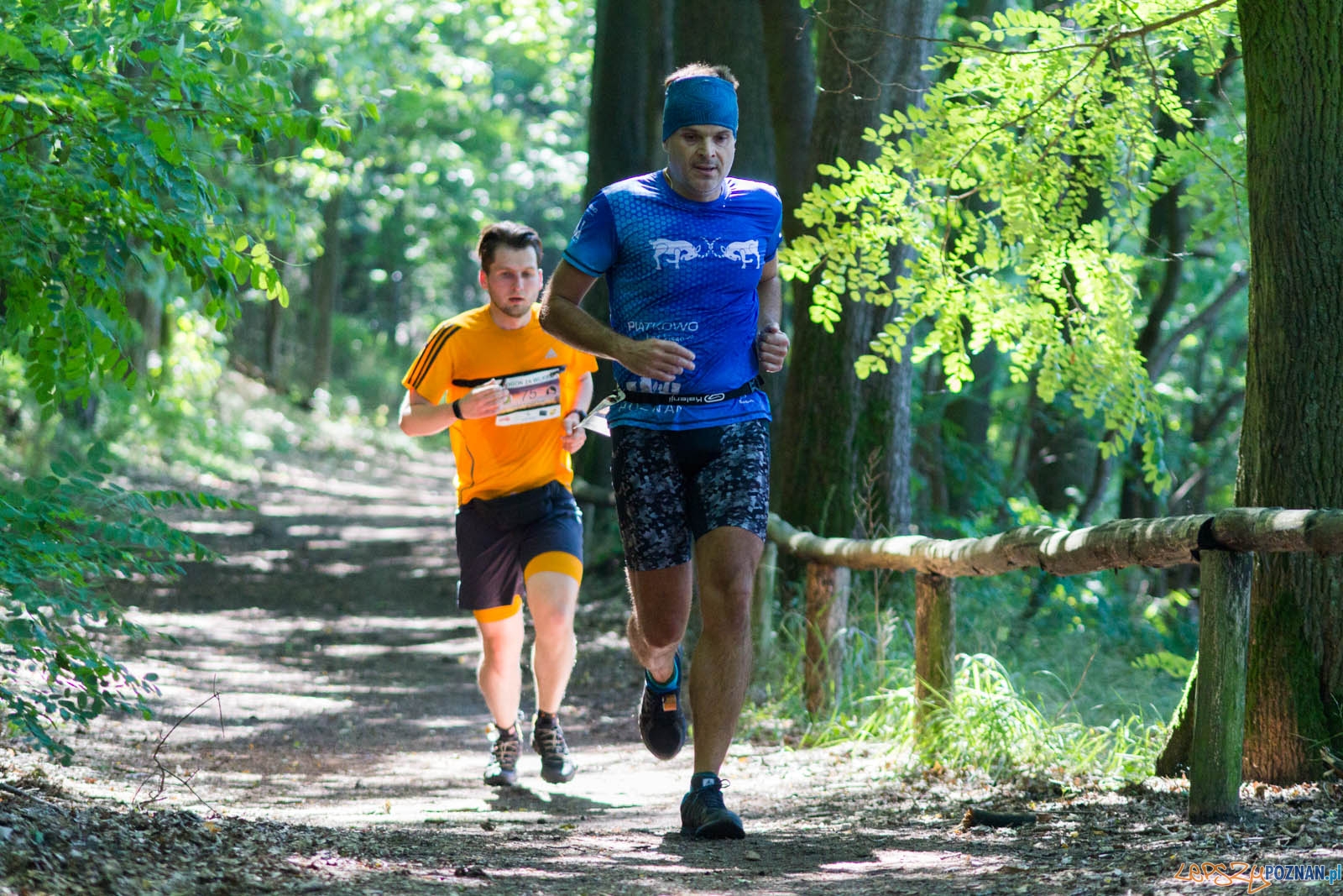 Pogoń za Wilkiem Foto: lepszyPOZNAN.pl / Ewelina Jaśkowiak Pogoń za Wilkiem Foto: lepszyPOZNAN.pl / Ewelina Jaśkowiak
