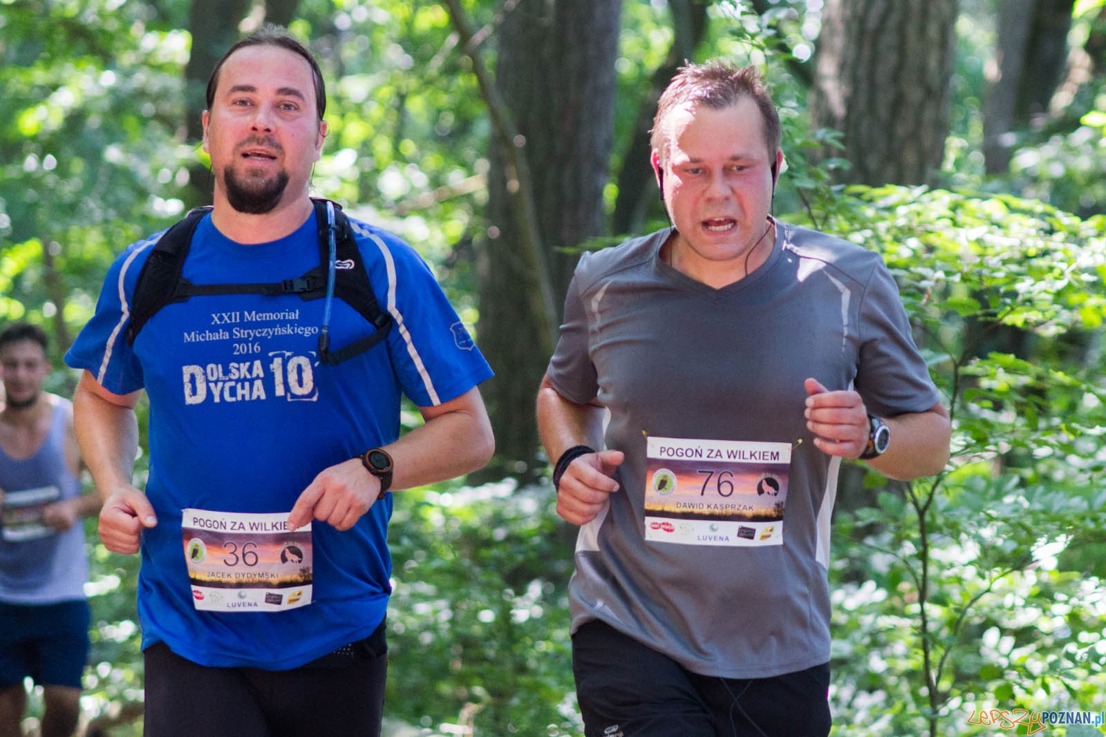 Pogoń za Wilkiem Foto: lepszyPOZNAN.pl / Ewelina Jaśkowiak Pogoń za Wilkiem Foto: lepszyPOZNAN.pl / Ewelina Jaśkowiak