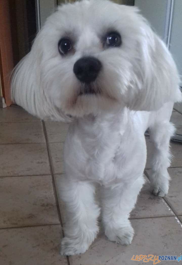 Iwona Glapka Foto: Iwona Glapka Foto: