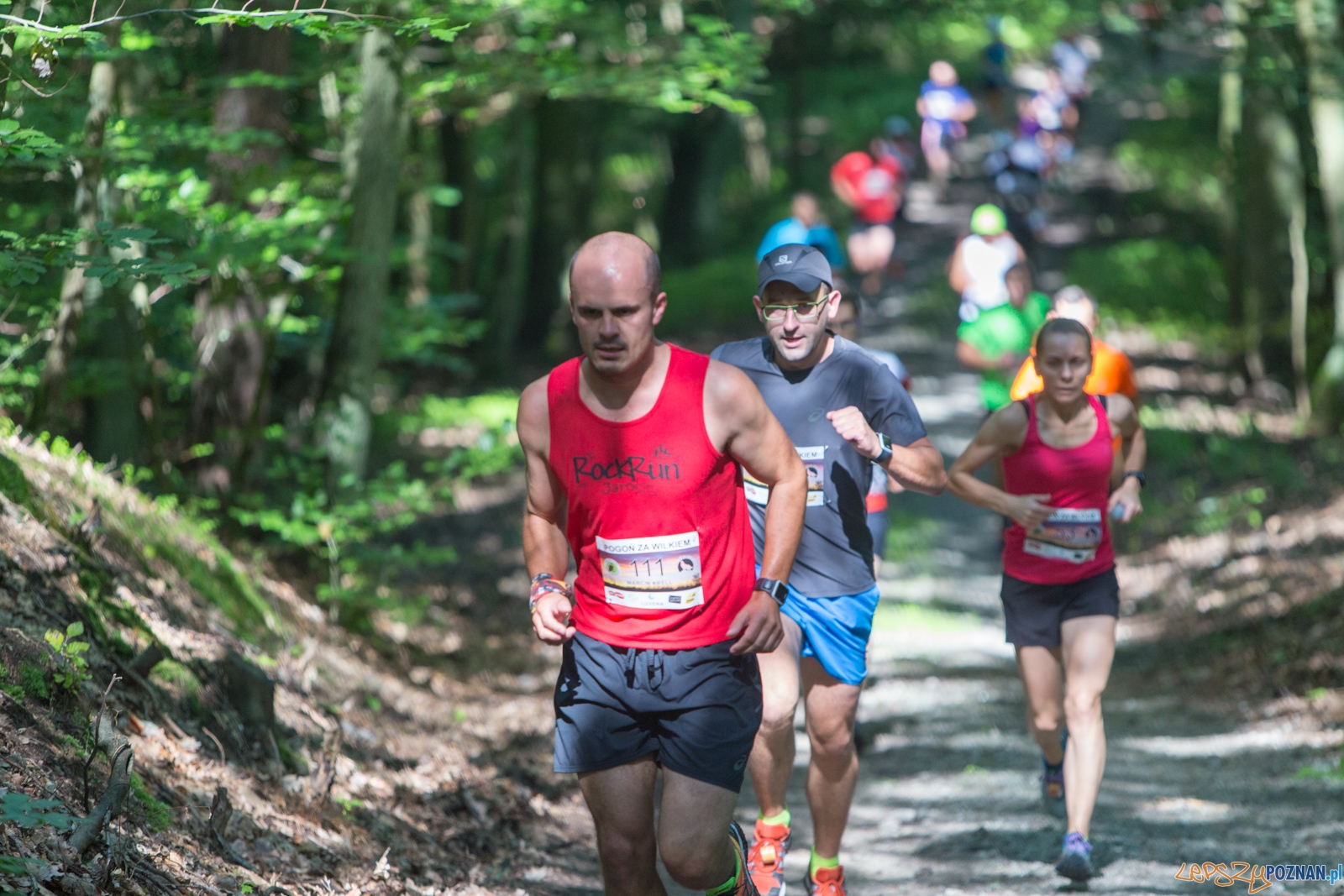 Pogoń za Wilkiem 2017 Foto: lepszyPOZNAN.pl/Piotr Rychter Pogoń za Wilkiem 2017 Foto: lepszyPOZNAN.pl/Piotr Rychter