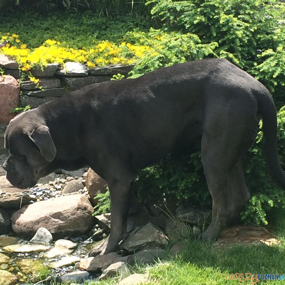 Maciej Łukowski Rufi Foto: Maciej Łukowski Rufi Foto: