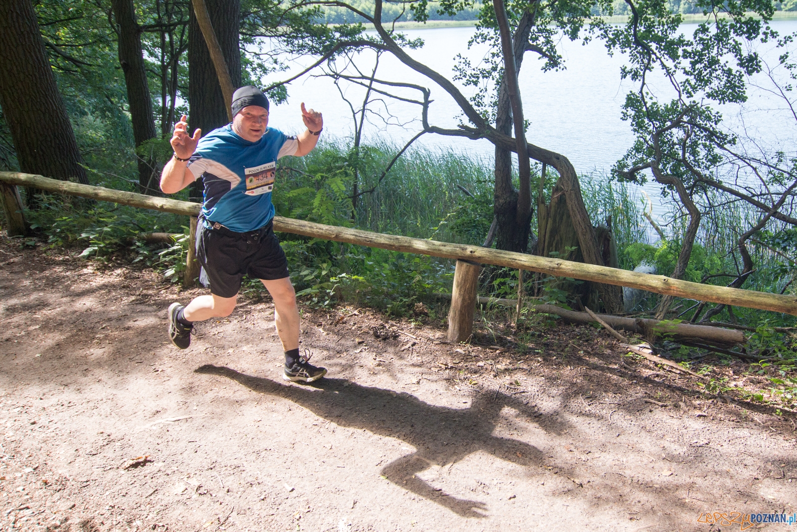 Pogoń za Wilkiem 2017 Foto: lepszyPOZNAN.pl/Piotr Rychter Pogoń za Wilkiem 2017 Foto: lepszyPOZNAN.pl/Piotr Rychter