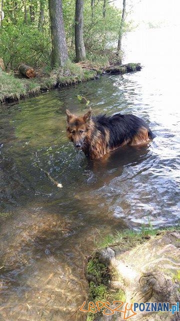 Kasia Napierała Foto: Kasia Napierała Foto: