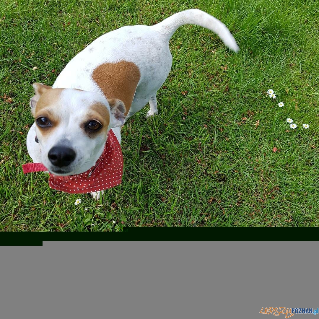 Violetta Biedak Foto: Violetta Biedak Foto: