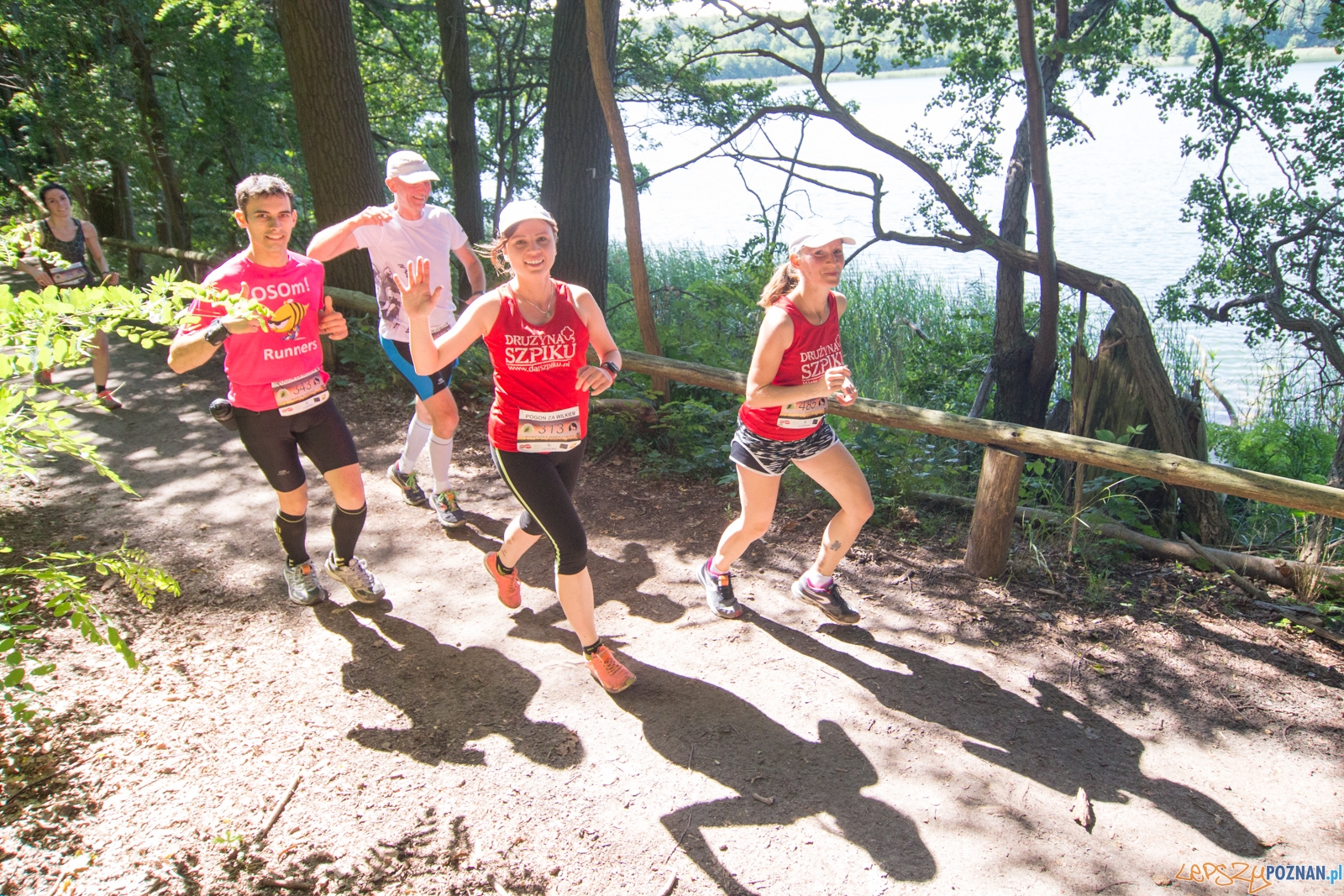 Pogoń za Wilkiem 2017 Foto: lepszyPOZNAN.pl/Piotr Rychter Pogoń za Wilkiem 2017 Foto: lepszyPOZNAN.pl/Piotr Rychter