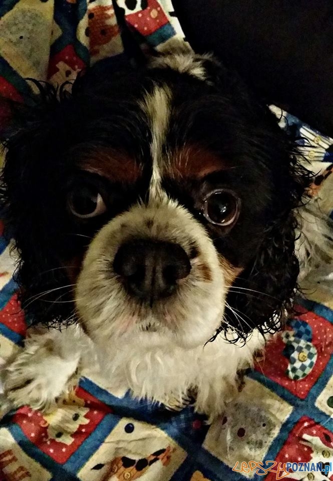 Agnieszka Niedziałkowska Odik Foto: Agnieszka Niedziałkowska Odik Foto: