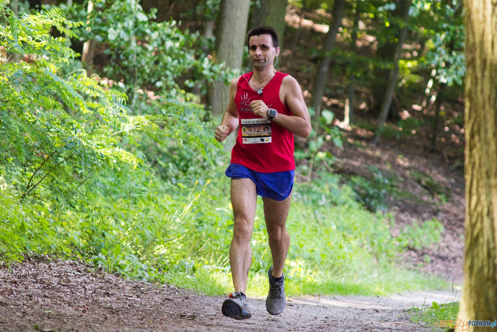 Pogoń za Wilkiem Foto: lepszyPOZNAN.pl / Ewelina Jaśkowiak Pogoń za Wilkiem Foto: lepszyPOZNAN.pl / Ewelina Jaśkowiak