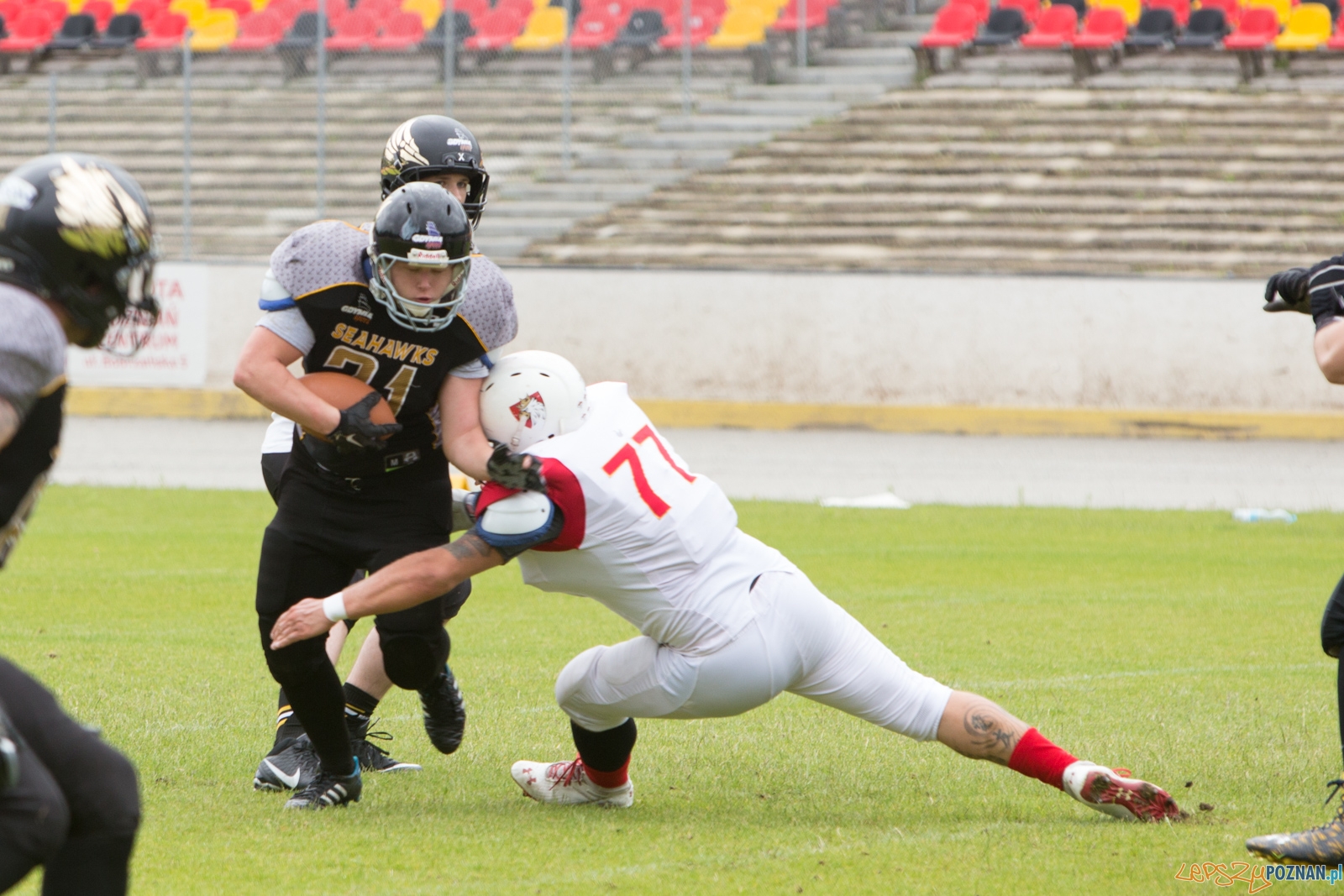 Patrioci Poznań - Seahawks Gdynia Foto: lepszyPOZNAN.pl/Piotr Rychter Patrioci Poznań - Seahawks Gdynia Foto: lepszyPOZNAN.pl/Piotr Rychter