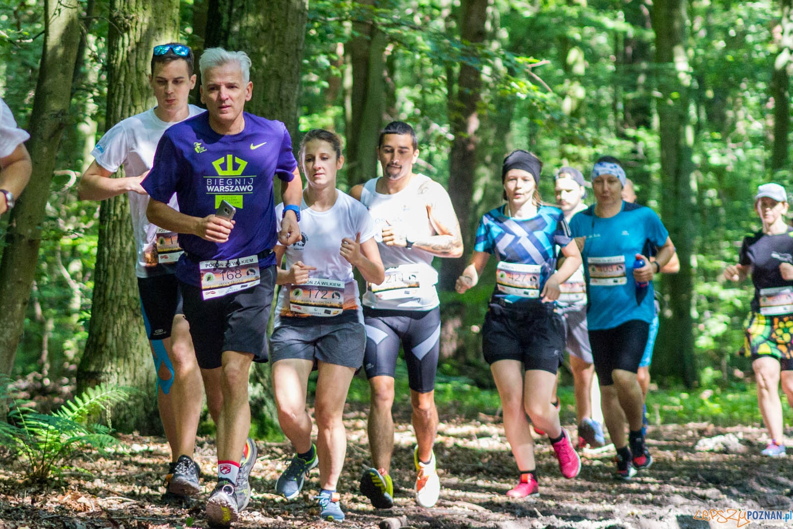 Pogoń za Wilkiem Foto: lepszyPOZNAN.pl / Ewelina Jaśkowiak Pogoń za Wilkiem Foto: lepszyPOZNAN.pl / Ewelina Jaśkowiak