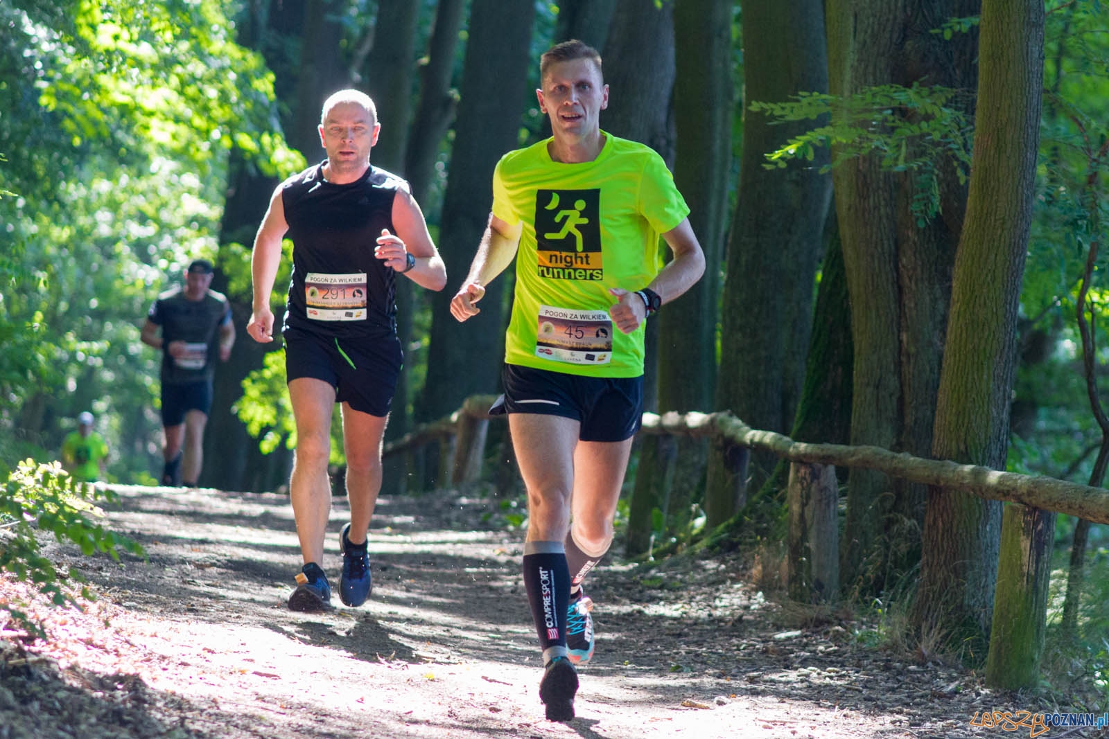 Pogoń za Wilkiem Foto: lepszyPOZNAN.pl / Ewelina Jaśkowiak Pogoń za Wilkiem Foto: lepszyPOZNAN.pl / Ewelina Jaśkowiak