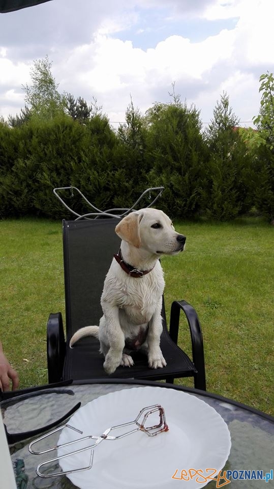 Sylwia Michalska Leon Foto: Sylwia Michalska Leon Foto: