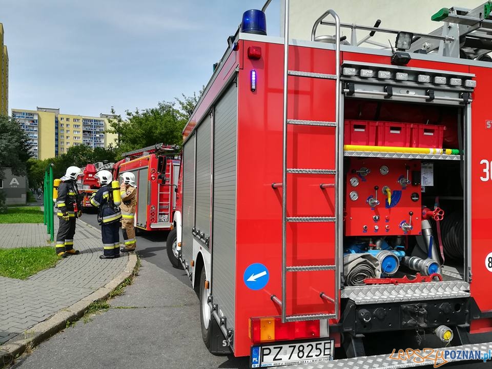 Pożar w kuchni Foto: OSP Suchy Las Pożar w kuchni Foto: OSP Suchy Las