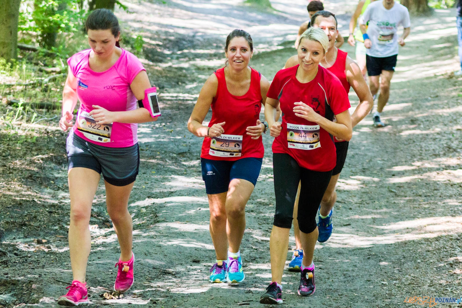 Pogoń za Wilkiem Foto: lepszyPOZNAN.pl / Ewelina Jaśkowiak Pogoń za Wilkiem Foto: lepszyPOZNAN.pl / Ewelina Jaśkowiak