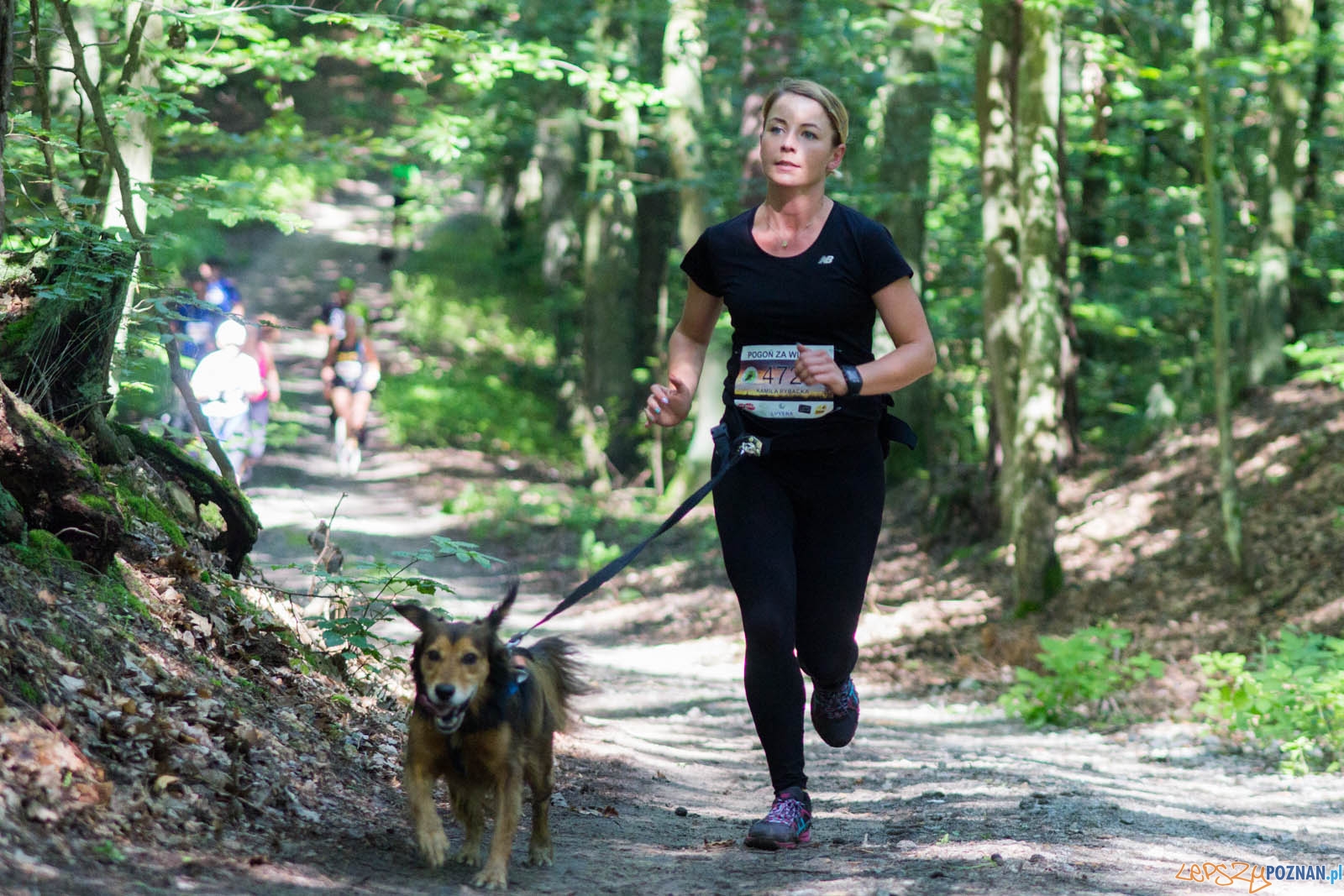 Pogoń za Wilkiem Foto: lepszyPOZNAN.pl / Ewelina Jaśkowiak Pogoń za Wilkiem Foto: lepszyPOZNAN.pl / Ewelina Jaśkowiak