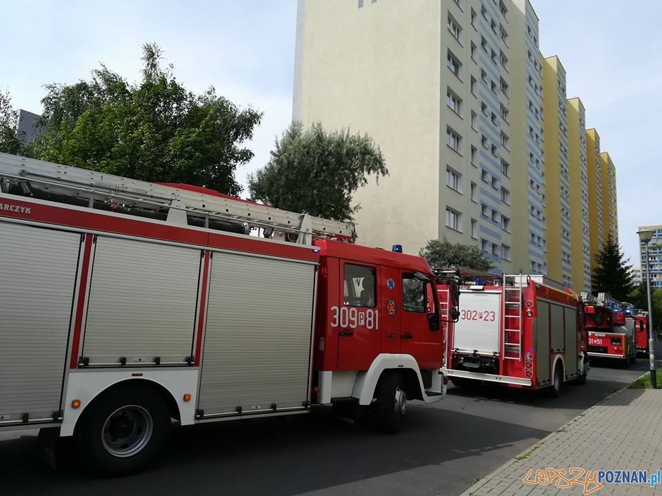 Pożar w kuchni Foto: OSP Suchy Las Pożar w kuchni Foto: OSP Suchy Las