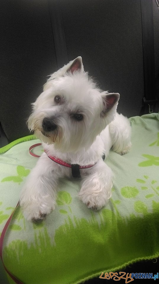 Marta Kicińska Foto: Marta Kicińska Foto: