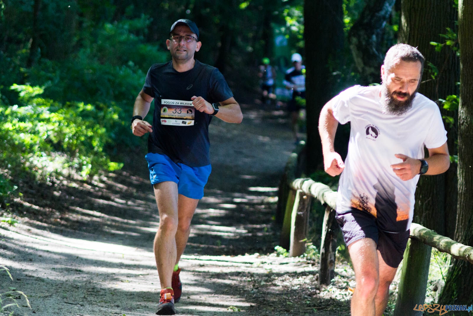 Pogoń za Wilkiem Foto: lepszyPOZNAN.pl / Ewelina Jaśkowiak Pogoń za Wilkiem Foto: lepszyPOZNAN.pl / Ewelina Jaśkowiak