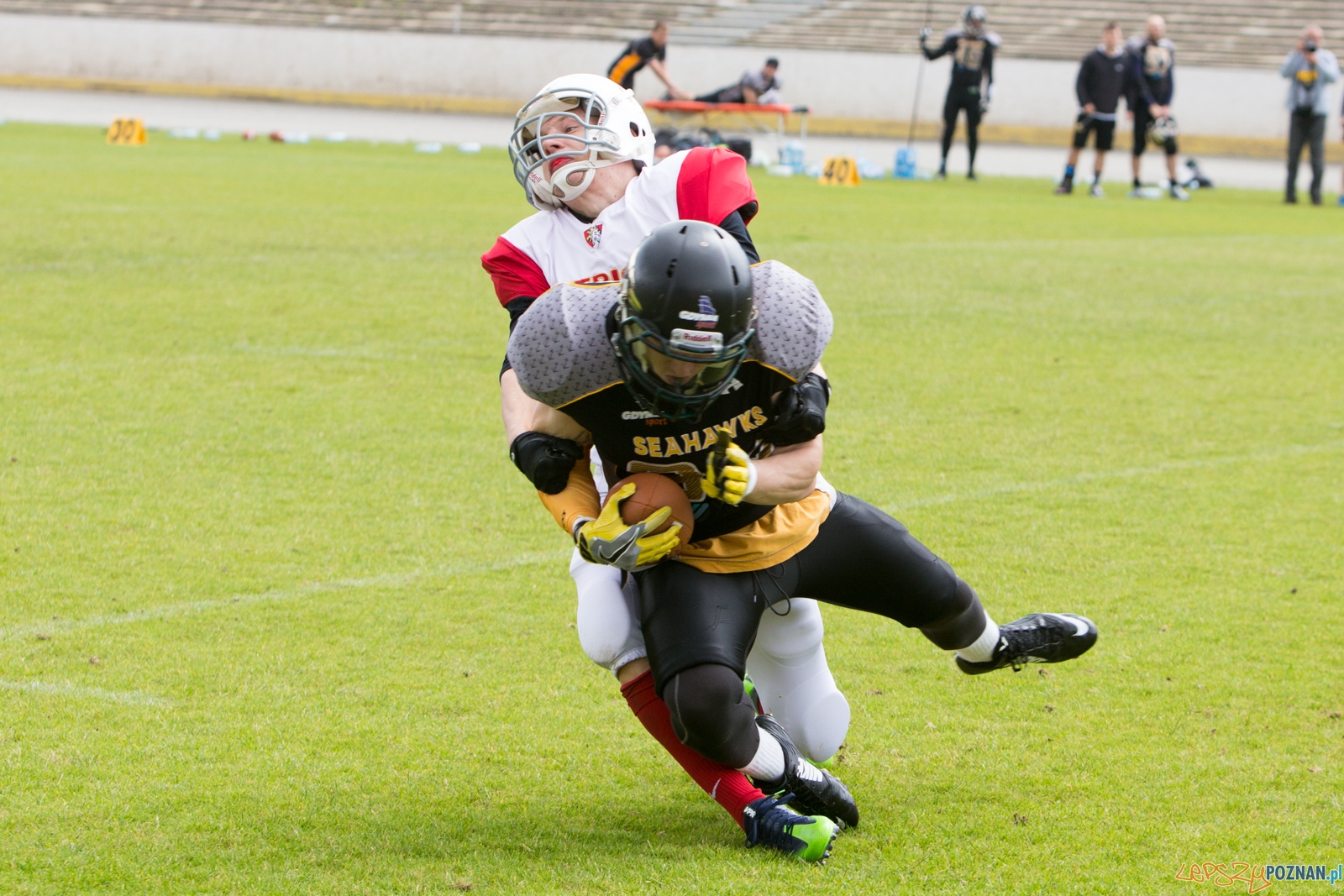 Patrioci Poznań - Seahawks Gdynia Foto: lepszyPOZNAN.pl/Piotr Rychter Patrioci Poznań - Seahawks Gdynia Foto: lepszyPOZNAN.pl/Piotr Rychter