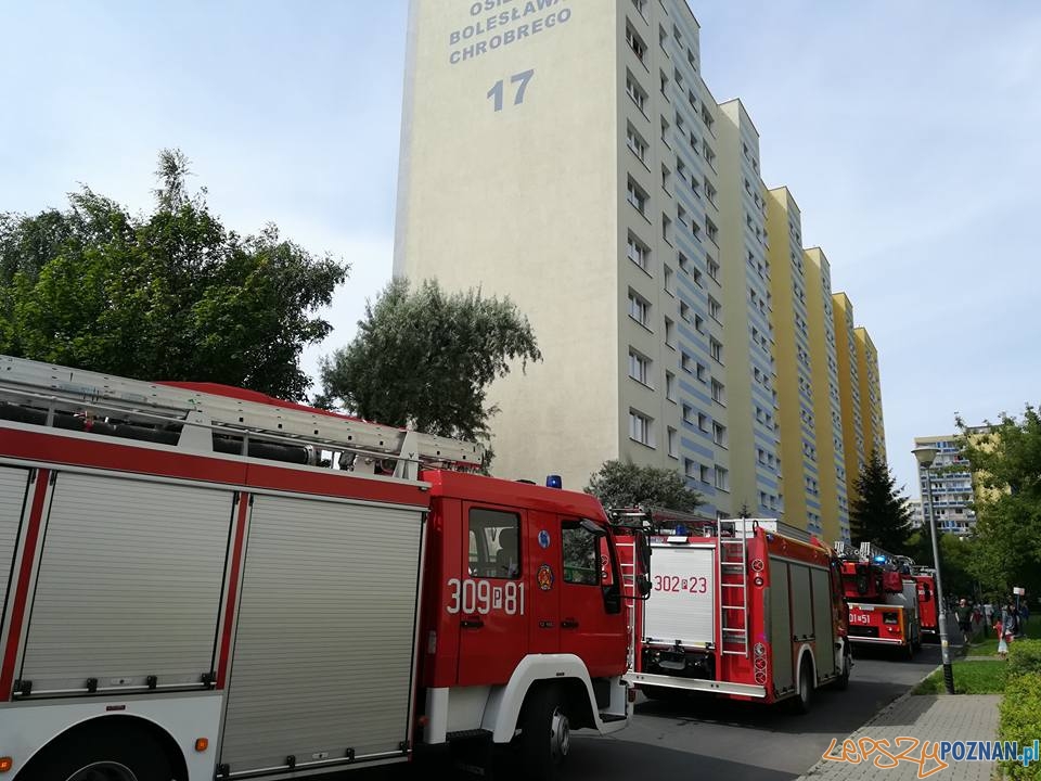 Pożar w kuchni Foto: OSP Suchy Las Pożar w kuchni Foto: OSP Suchy Las