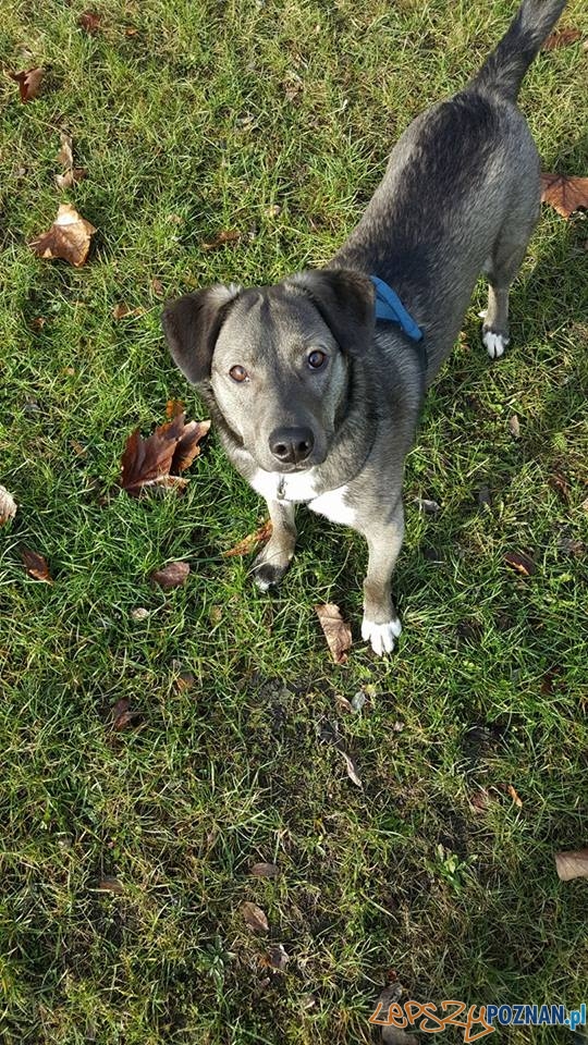 Pa Wska Fidel Foto: Pa Wska Fidel Foto: