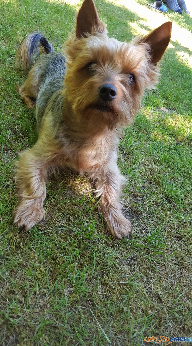 Elżbieta Zachewicz - Edi Foto: Elżbieta Zachewicz - Edi Foto: