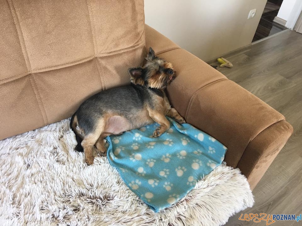 Monika Siemieniec Foto: Monika Siemieniec Foto: