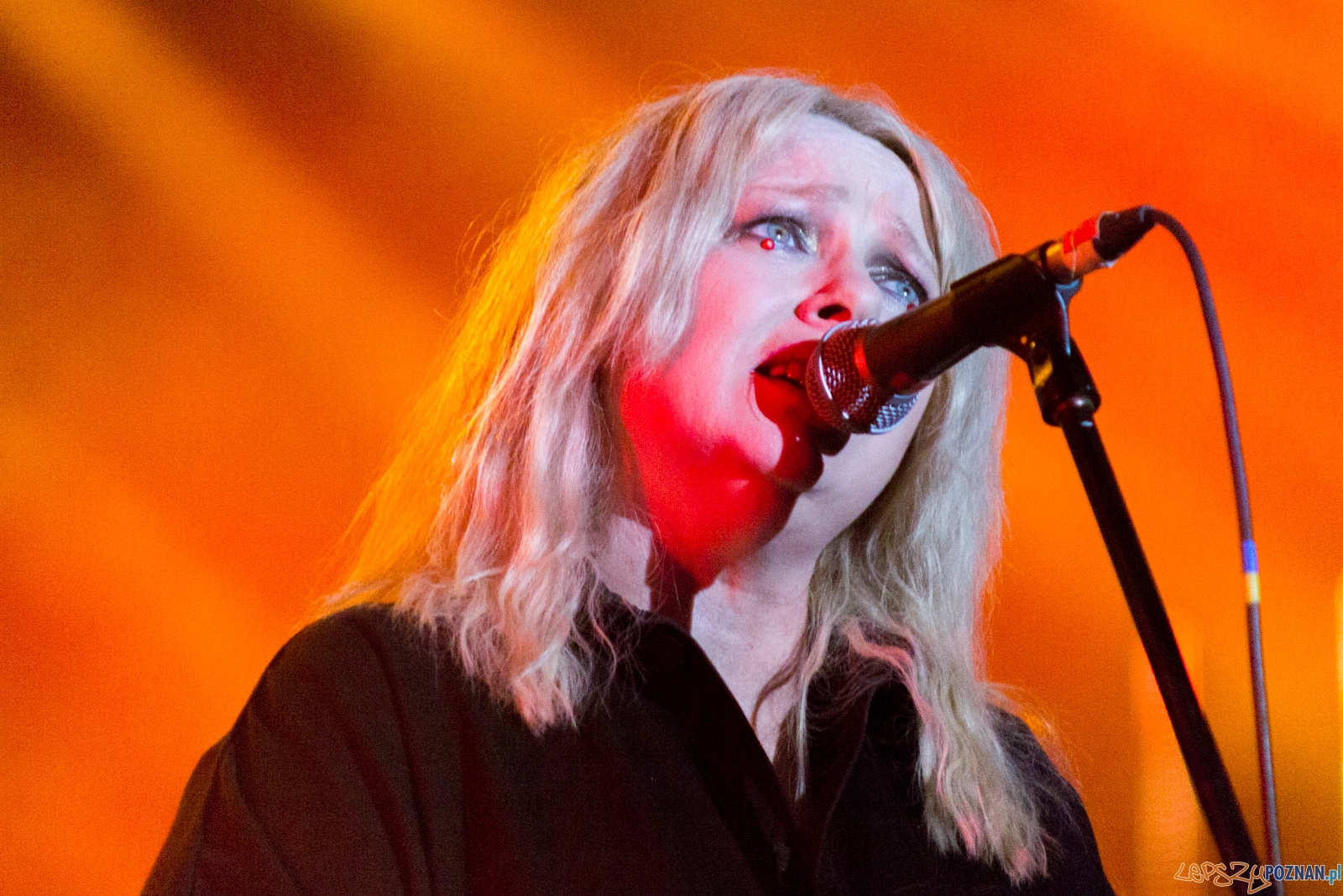 Męskie Granie 2017 Foto: lepszyPOZNAN.pl / Ewelina Jaśkowiak Męskie Granie 2017 Foto: lepszyPOZNAN.pl / Ewelina Jaśkowiak