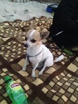 Łukasz Szymański Lila Foto: Łukasz Szymański Lila Foto: