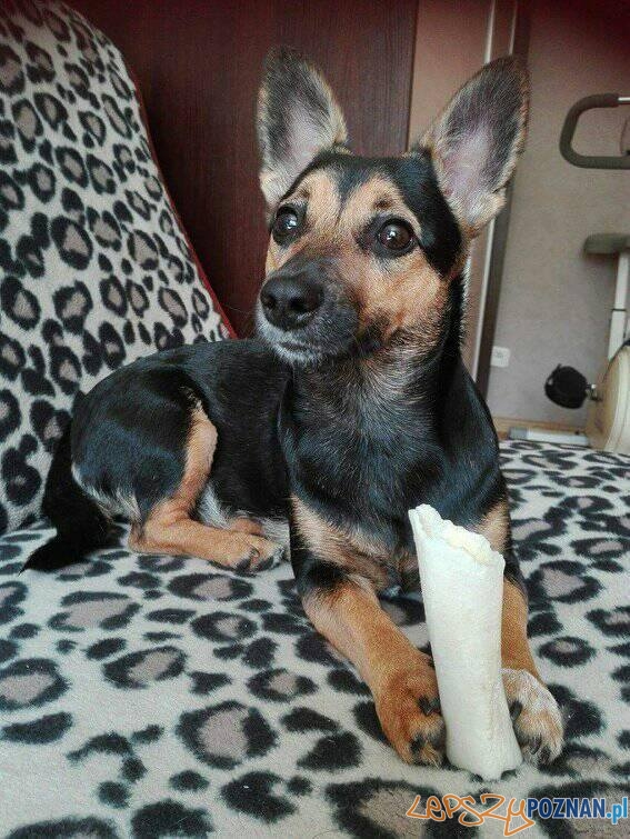 Barbara Mazurek Foto: Barbara Mazurek Foto: